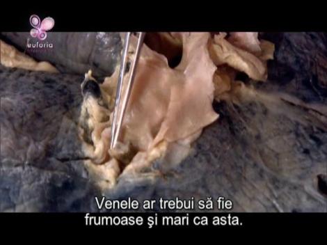 Cele patru dureri corporale care nu trebuie ignorate