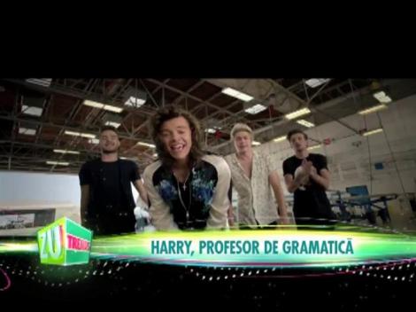 Harry Styles, profesor de gramatică