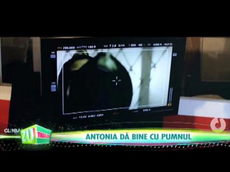 Antonia s-a luptat &icirc;n ring