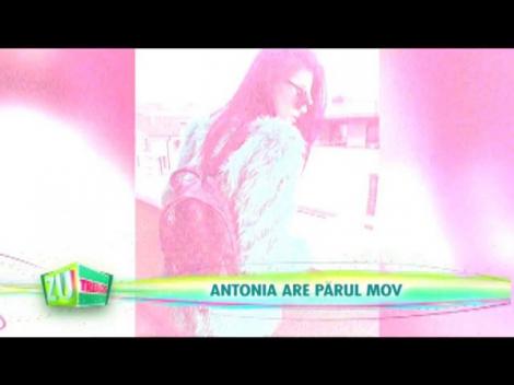 Antonia s-a vopsit mov