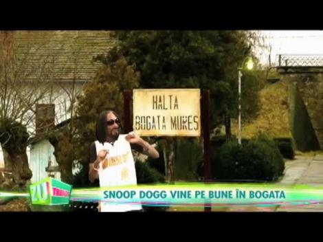 Așa ar dansa Snoop Dogg la Bogata