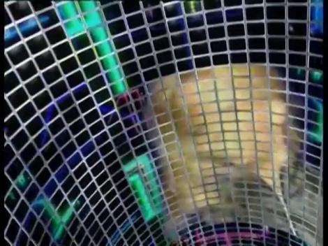 Delia - Un calculator, o sansa in plus