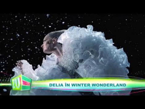 Delia pregătește &rdquo;Winter Wonderland&rdquo;