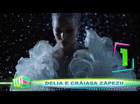 Delia lansează &rdquo;Fulg&rdquo;