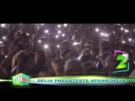 Delia pregătește concertul &rdquo;Psihedelia&rdquo;