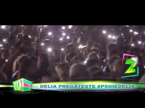 Delia pregătește concertul ”Psihedelia”