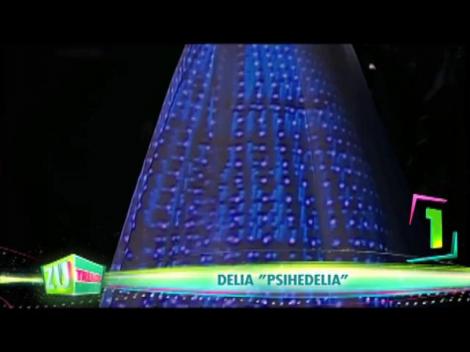 Fanii sunt &icirc;n delir. Delia pregătește două concerte la Sala Palatului