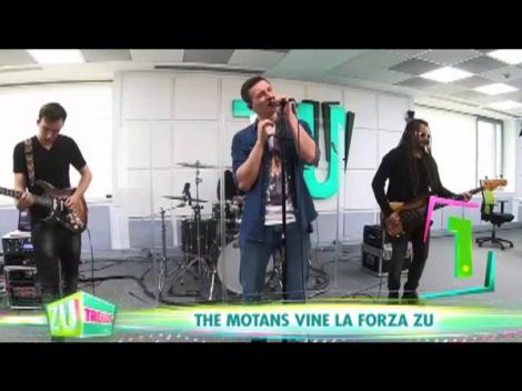 The Motans vine la Forza ZU