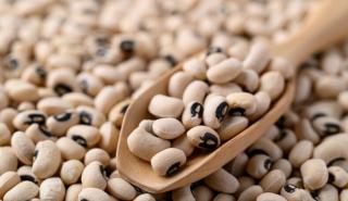 Alimente care conțin molibden. Rolul acestui micromineral în organism