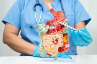 Tot ce trebuie să știi despre refluxul gastroesofagian: cauze, diagnostic, dietă și tratament