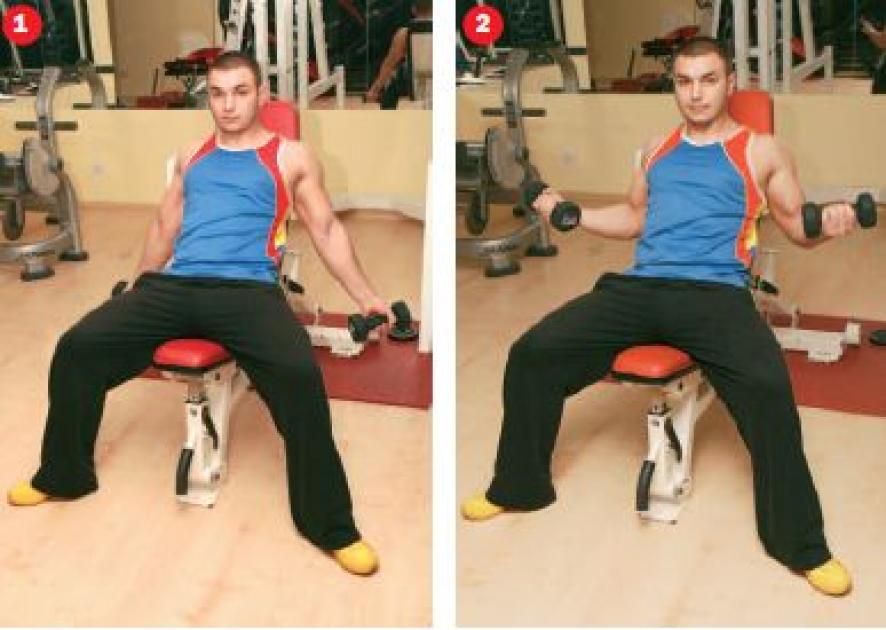 8 exercitii simple prin care iti remodelezi bratele | Antena 1