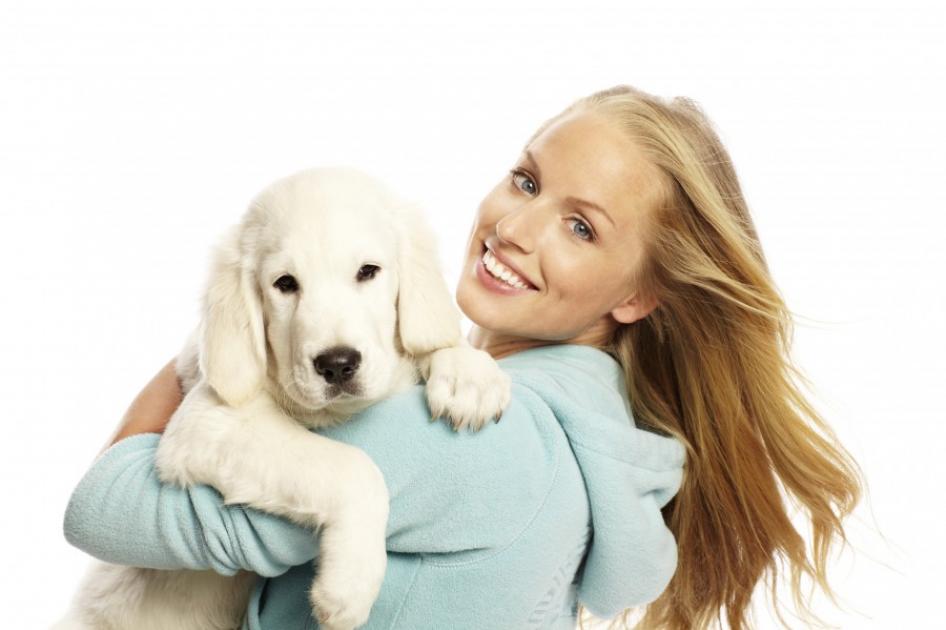 Un catel nou in familie: Ce trebuie sa stiti | Antena 1